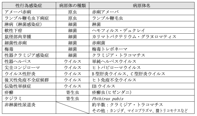解説画像